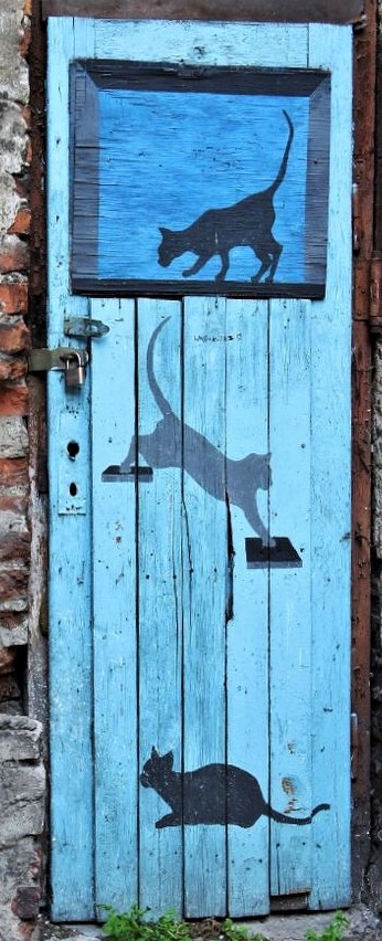 Chats peintures sur portes