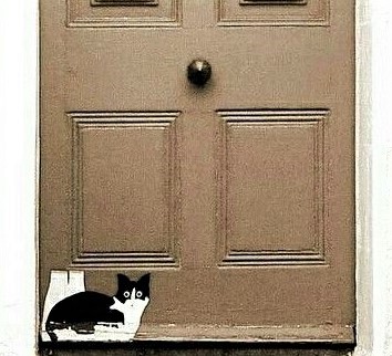 Chats peintures sur portes Chats peintures sur portes