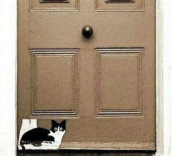 Chats peintures sur portes