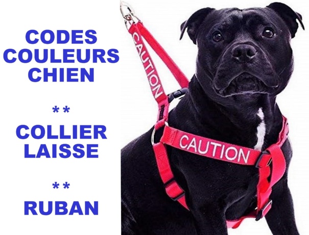 Code couleur pour chien, collier, laisse et ruban. Code couleur pour chien, collier, laisse et ruban.