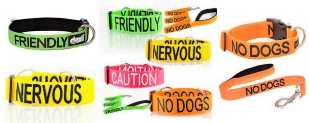 Code couleur pour chien, collier, laisse et ruban. Code couleur pour chien, collier, laisse et ruban.