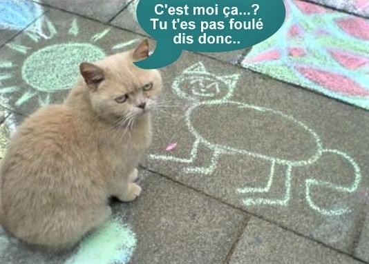 Dessins humoristiques "les chats"..!