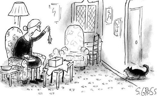 Dessins Humoristiques Les Chats Dessins Humoristiques Les Chats