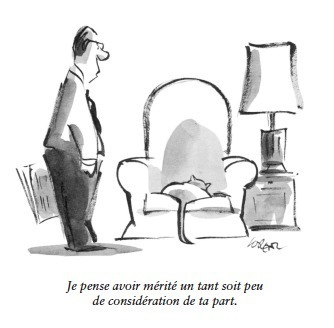 Dessins Humoristiques Les Chats Dessins Humoristiques Les Chats