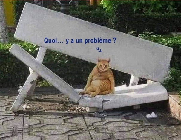Léger comme une plume..