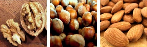 Les fruits secs oléagineux, vos alliés anti-fatigue Les fruits secs oléagineux, vos alliés anti-fatigue