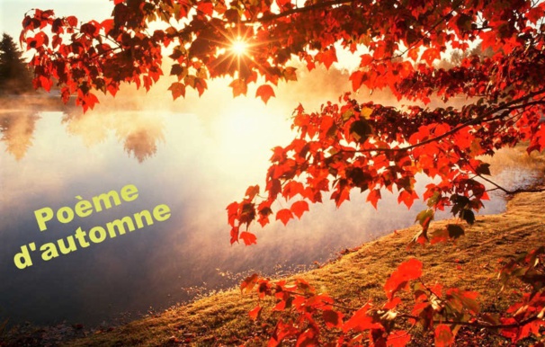 Trésors d'automne...poésie Trésors d'automne...poésie