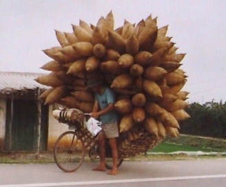 Stocker sa récolte de betteraves de Tchernobyl.. Stocker sa récolte de betteraves de Tchernobyl..
