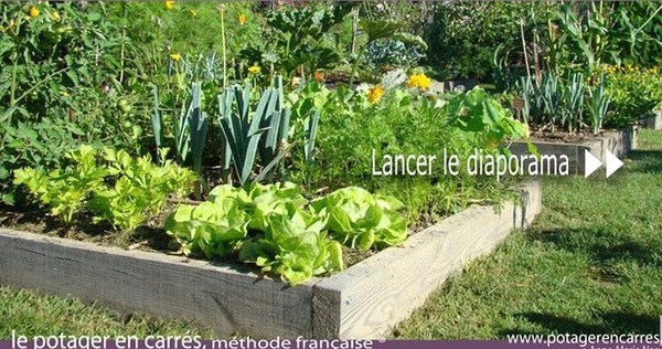 Faire son jardin ou son potager en carrés, les tutos !