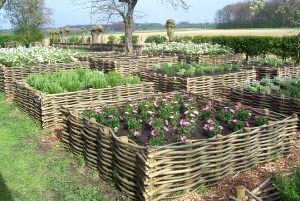 Faire son jardin ou son potager en carrés, les tutos !