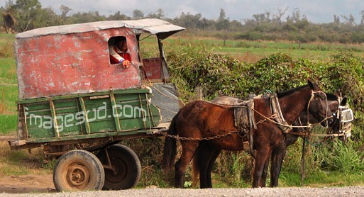 la plus robuste pour les hors pistes.. la plus robuste pour les hors pistes..