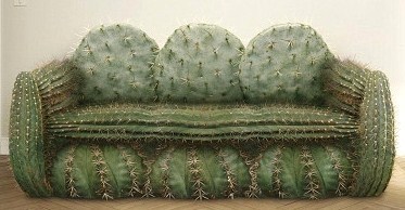 Canapé Cactus pour recevoir ses pas vraiment amis..
