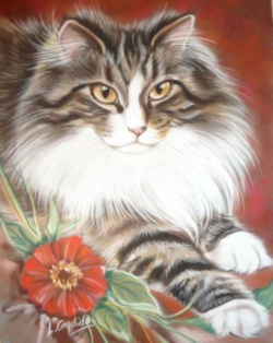 Chat norvégien réalisé sur papier velours..