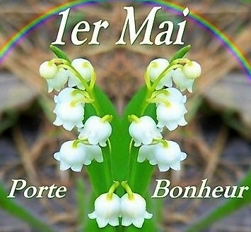 Quelques brins de muguet porte-bonheur