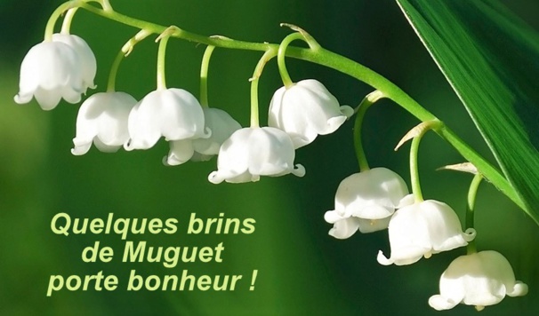 Quelques brins de muguet porte-bonheur