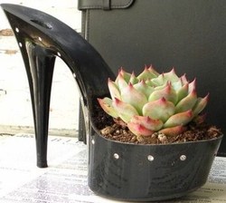 Des pots de fleurs originaux et insolites