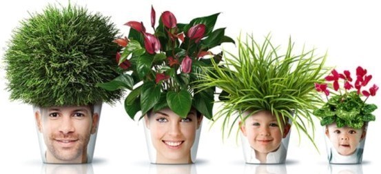 Des pots de fleurs originaux et insolites