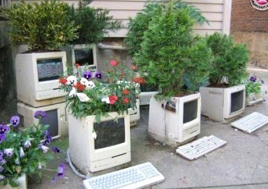 Des pots de fleurs originaux et insolites