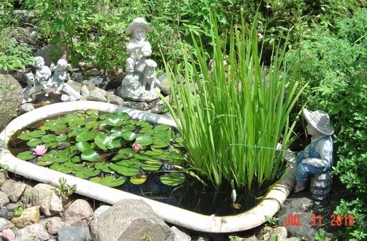 Vieilles baignoires recyclées pour le jardin Vieilles baignoires recyclées pour le jardin