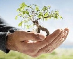 Consommer autrement : achetez Bio, local et responsable Consommer autrement : achetez Bio, local et responsable