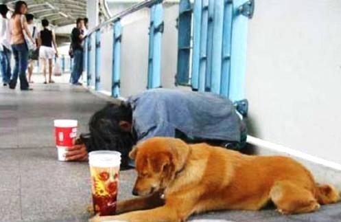 Le courage de devoir mendier.. Le courage de devoir mendier..