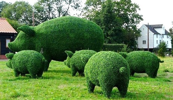 Superbes sculptures végétales !
