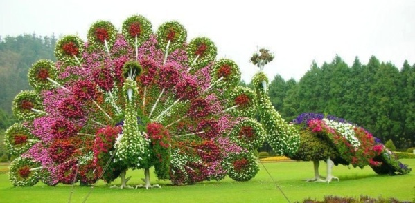 Superbes sculptures végétales !