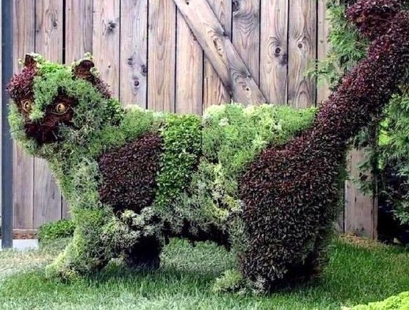 Superbes sculptures végétales ! Superbes sculptures végétales !