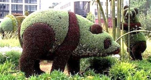 Superbes sculptures végétales ! Superbes sculptures végétales !