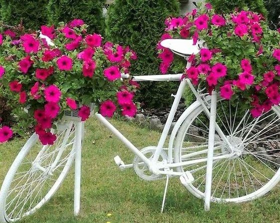 Les vélos fleuris au jardin !