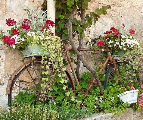 Les vélos fleuris au jardin !