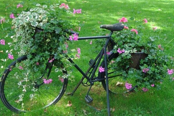 Les vélos fleuris au jardin !