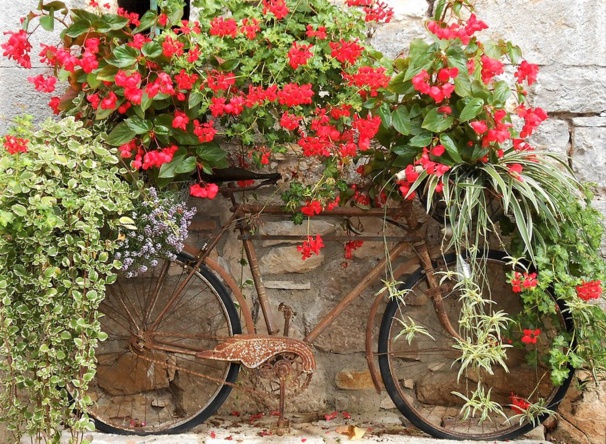 Les vélos fleuris au jardin !