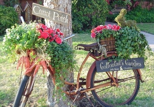 Les vélos fleuris au jardin !