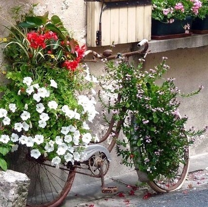 Les vélos fleuris au jardin !