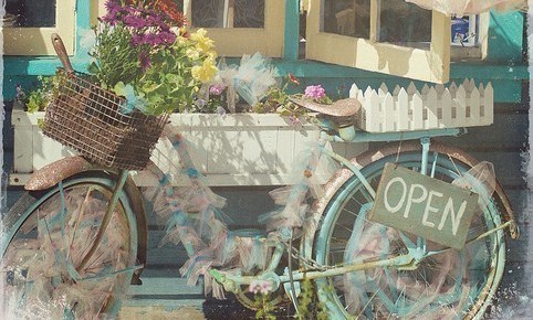 Les vélos fleuris au jardin ! Les vélos fleuris au jardin !