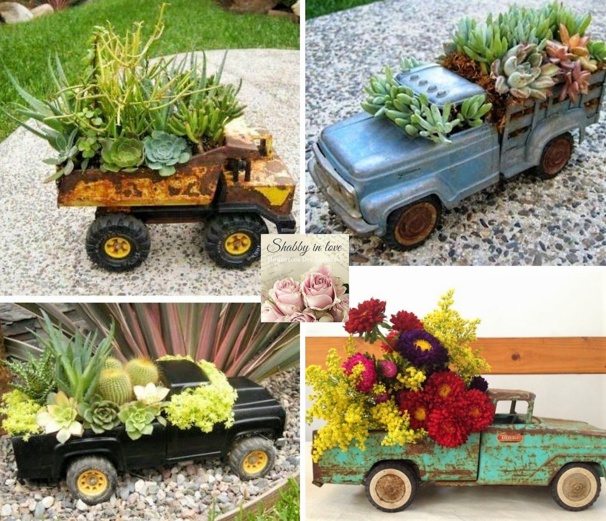 Plantes grasses sur roulettes Plantes grasses sur roulettes