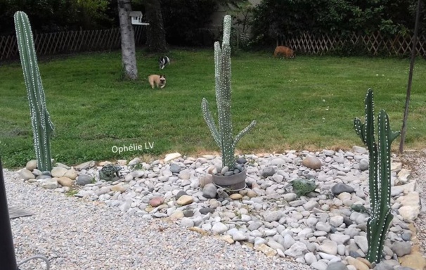 Idées créatives et décoratives pour le jardin Idées créatives et décoratives pour le jardin