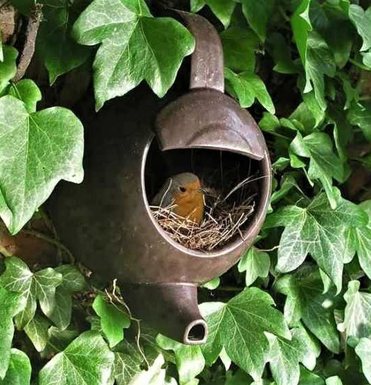 Faire un abri pour oiseaux avec une théière !