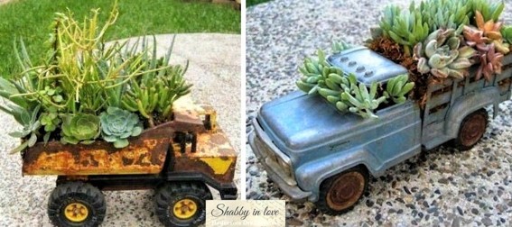 Les plantes succulentes subliment le jardin !