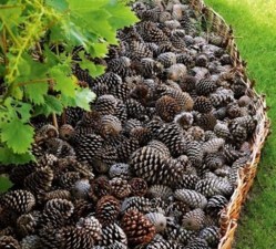 15 belles idées récup et recyclage pour le jardin ! 15 belles idées récup et recyclage pour le jardin !