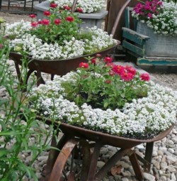 15 belles idées récup et recyclage pour le jardin ! 15 belles idées récup et recyclage pour le jardin !