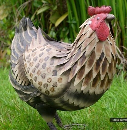 Les poules décoratives - Le Grenier de la Presqu'île