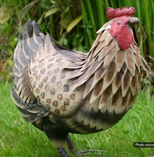 Poules décoratives pour le jardin !