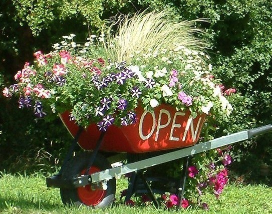 Les Brouettes fleuries du jardin !