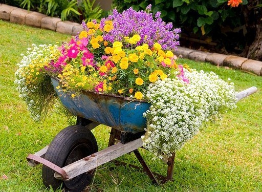 Les Brouettes fleuries du jardin !