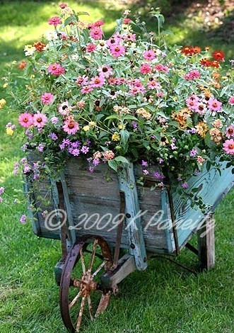 Les Brouettes fleuries du jardin ! Les Brouettes fleuries du jardin !