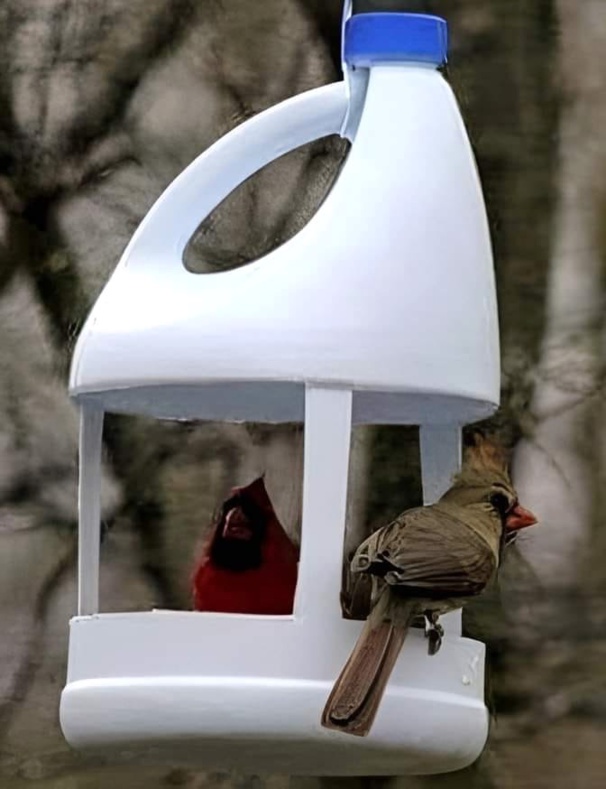 Nichoirs à oiseaux à faire pour le jardin !