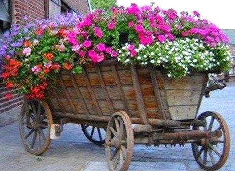 Les vieilles charrettes d'antan fleurissent le jardin ! Les vieilles charrettes d'antan fleurissent le jardin !