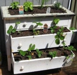 Recyclez vos vieux meubles au jardin Recyclez vos vieux meubles au jardin